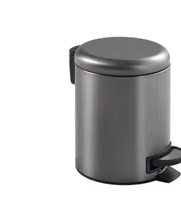 Gedy - Odpadkový kôš POTTY 5 l s tichým zatváraním, metalicky sivý 330981