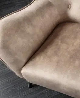 Kreslo ušiak AMYKLAS Dekorhome