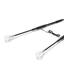 Zapichovacie svietidlá s LED, 2 ks