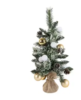 Vianočný stromček biely so zlatou farbou 60 cm vrátane LED s časovačom - Jack