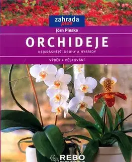 Orchideje - Jörn Pinske