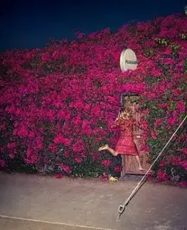 Feist - Pleasure LP - Feist