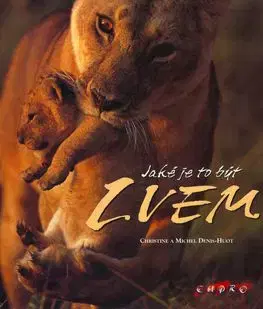 Jaké je to být lvem - Denis-Michel Hout, Christine Hout