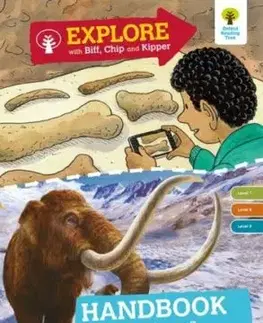 Oxford Reading Tree Explore with Biff, Chip and Kipper: Levels 7 to 9: Year 2/P3 Handbook - Alex Brychta, Tish Keech, Roderick Hunt