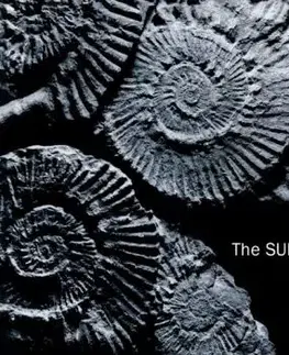 Sundays, The - Reading Writing And Arithmetic CD - Sundays