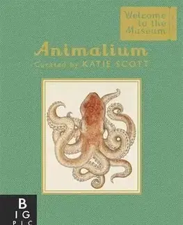 Animalium Mini Gift Edition - Jenny Broom, Katie Scott
