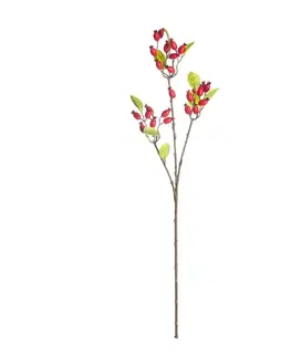Dekoria Dekorácia z divokej ruže 70cm red, 10 x 10 x 70 cm