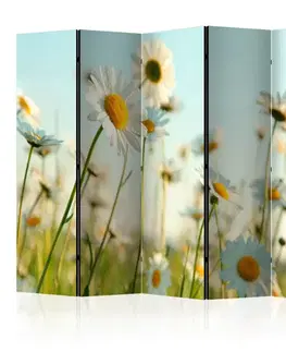 Paraván Daisies - spring meadow Dekorhome