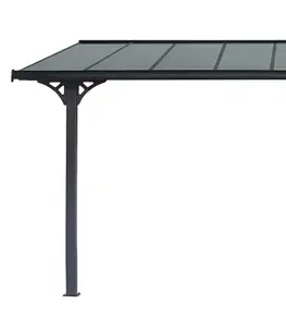 Pergola 618 x 305 cm (čierná+transparentní polykarbonát)