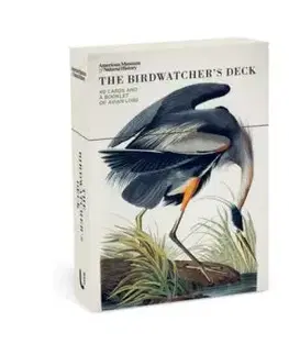 The Birdwatcher's Deck - American Museum of Natural History
