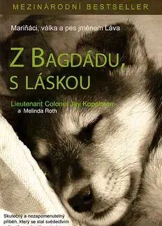 Z Bagdádu, s láskou - Jay Kopelman, Jaroslav Foršt