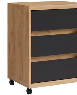 Skrinka na kolieskach Iga Dub Craft / čierna Mat