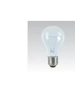  Priemyselná špeciálna žiarovka E27/100W/24V 339005000
