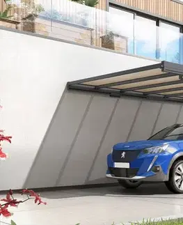 Kovový prístrešok / Carport ku stene 298 x 509 cm Dekorhome