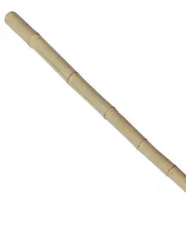 Bambusová tyč 200 cm Fi 10-12 cm