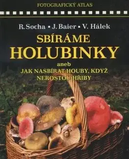 Sbíráme holubinky