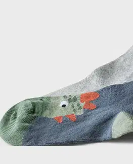 Detské ponožky, 5 párov, dinosaurus