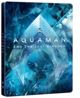 Aquaman a ztracené království 2BD (UHD+BD) - steelbook - motiv Icon
