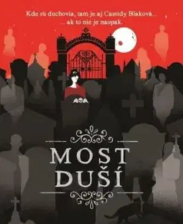 Cassidy Blake 3: Most duší - V. E. Schwab