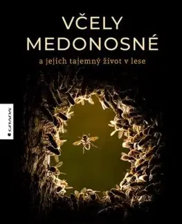 Včely medonosné - Ingo Arndt, Jürgen Tautz