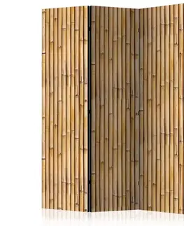 Paraván Amazonian Wall Dekorhome