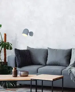 Nástenná lampa 1X40W E27 matná sivá AZURO