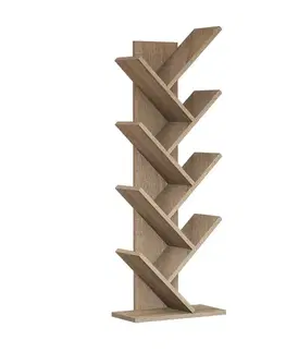Knižnica Hitit Walnut