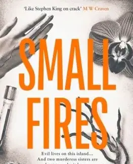Small Fires - Ronnie Turner