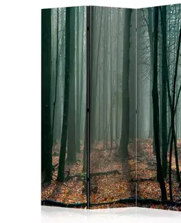 Paraván Witches' forest Dekorhome