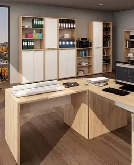KONDELA Rioma Typ 02 regál dub artisan / biela