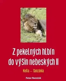 Z pekelných hlbín do výšin nebeských II - Nemčok Peter