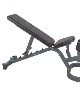 inSPORTline Profi Sit up bench