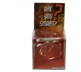 RecentToys Are you Smart - RecentToys 