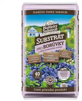 Hoštický substrát pre čučoriedky  40L