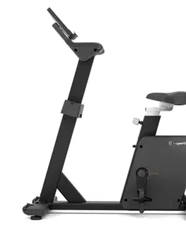 inSPORTline e-Velocer UB