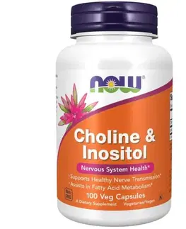 Now Cholin & Inositol 500 mg 100 kapsúl