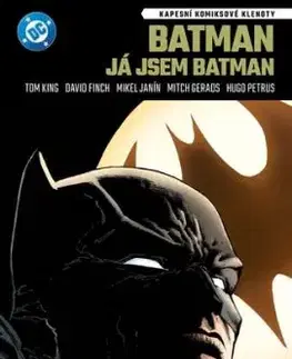 Kapesní komiksové klenoty: Batman: Já jsem Batman - Tom King, Petr Zenkl, David Finch
