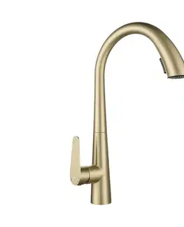REA-B5312 - Drezová batéria s vysúvacou sprchou ROSS 43 cm brúsené zlato REA-B5312