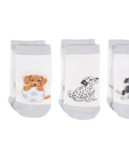 Detské ponožky "Little Paws" Wrendale Designs, 3 páry (0–6 mes.) – šteniatka