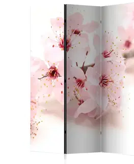 Paraván Cherry Blossom Dekorhome