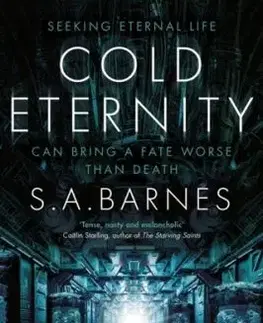 Cold Eternity - S.A. Barnes