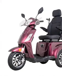 inSPORTline Zorica Deluxe vínová