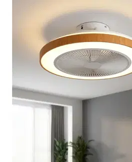 BRILAGI - stmievateľný stropný látor s LED, 38W/230V, 50 cm, biely/hnedý + diaľkové ovládanie WF-OSD-002