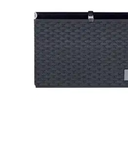PROSPERPLAST - Truhlík RatoCase 50cm antracit