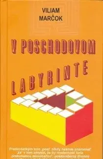 V poschodovom labyrinte - Viliam Marčok