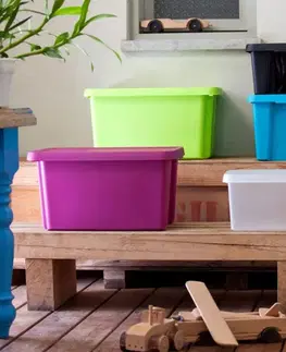 CURVER Úložný box ESSENTIALS 16L s vekom | transparentná