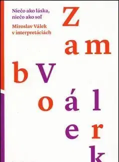 Niečo ako láska, niečo ako soľ - Ján Zambor