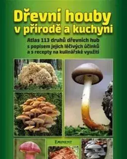 Dřevní houby v přírodě a kuchyni - Vít Aleš, Radomír Socha