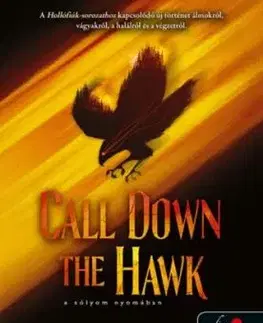 Álmodok-trilógia 1: Call Down the Hawk: A sólyom Nyomában - Maggie Stiefvater