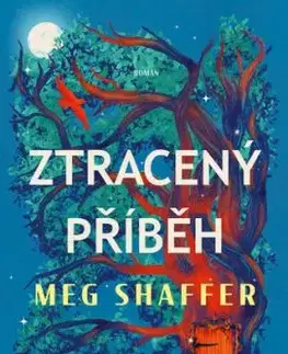 Ztracený příběh - Meg Shaffer